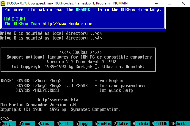 Русификация DOSBox - используем сторонний драйвер.